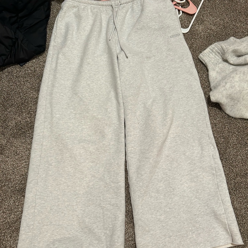 Aritzia Gray Wide Leg Pants